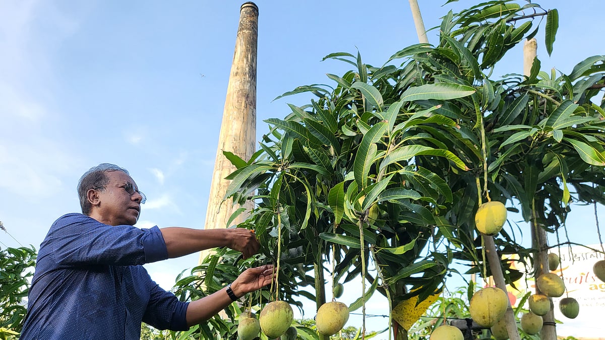ছবি: প্রথম আলো