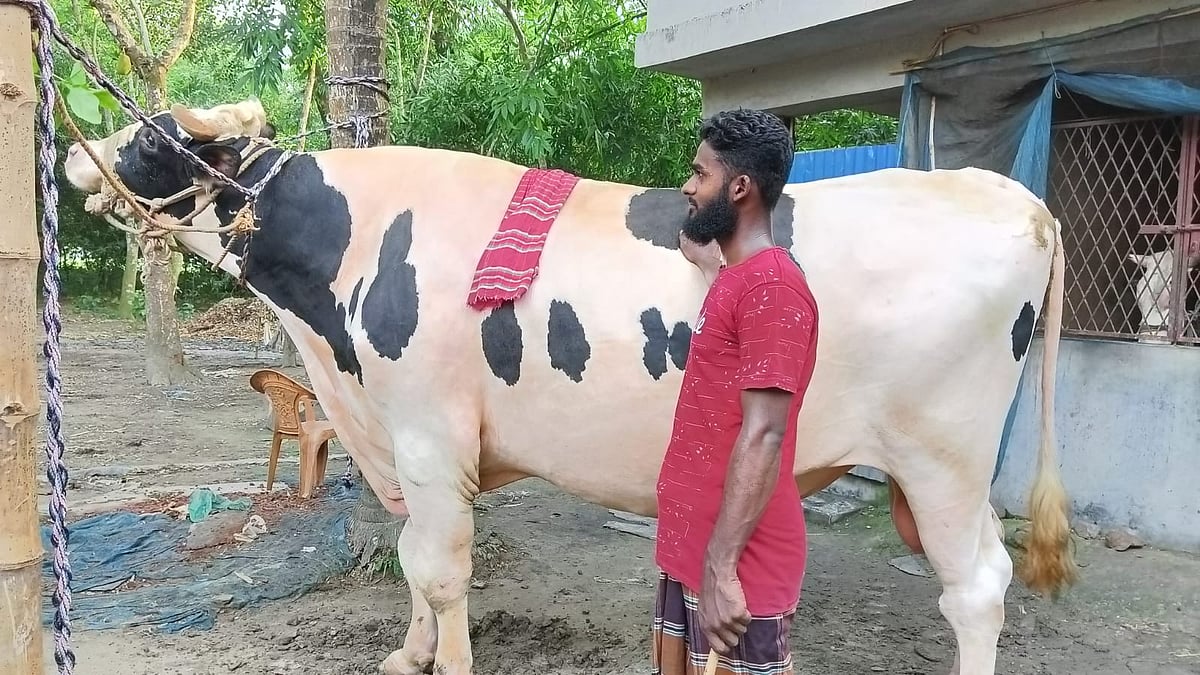 ছবি: প্রথম আলো