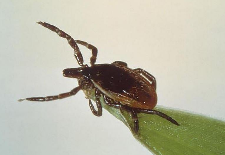 ফাইল ছবি: এএফপি