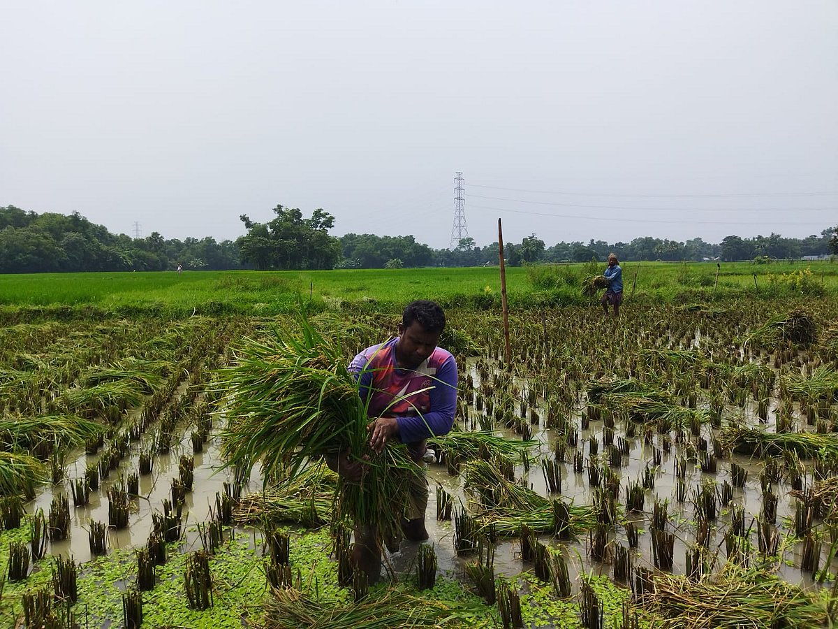 ছবি: এম সাদেক 