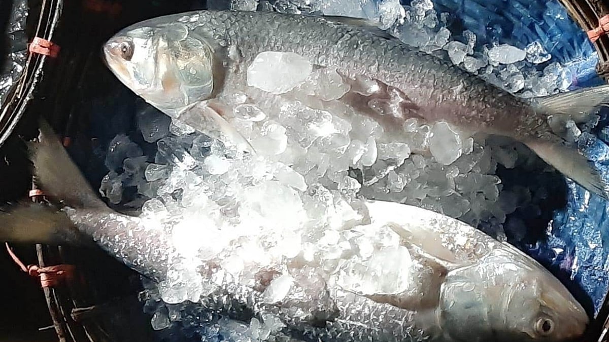 ছবি: প্রথম আলো