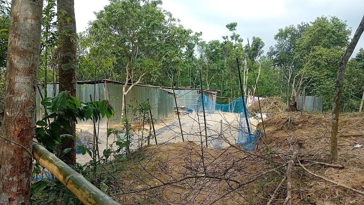 ছবি: প্রথম আলো