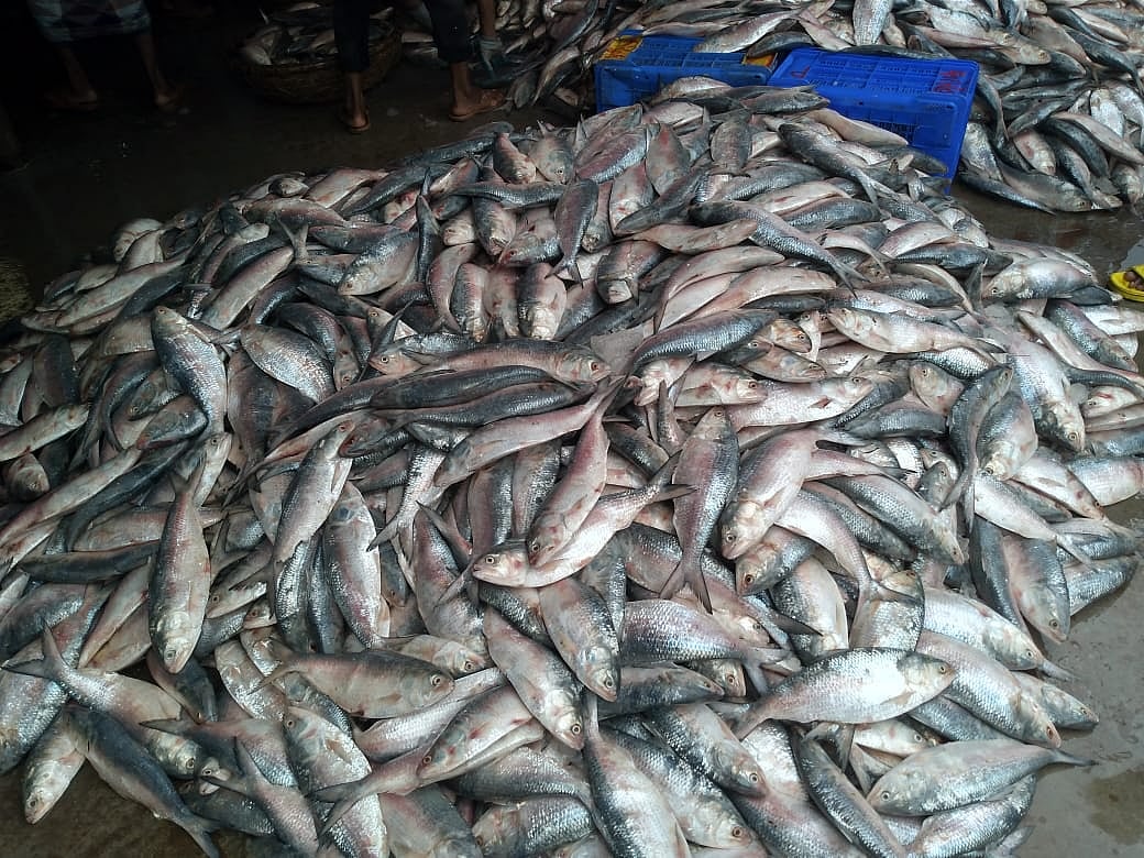 ছবি: প্রথম আলো