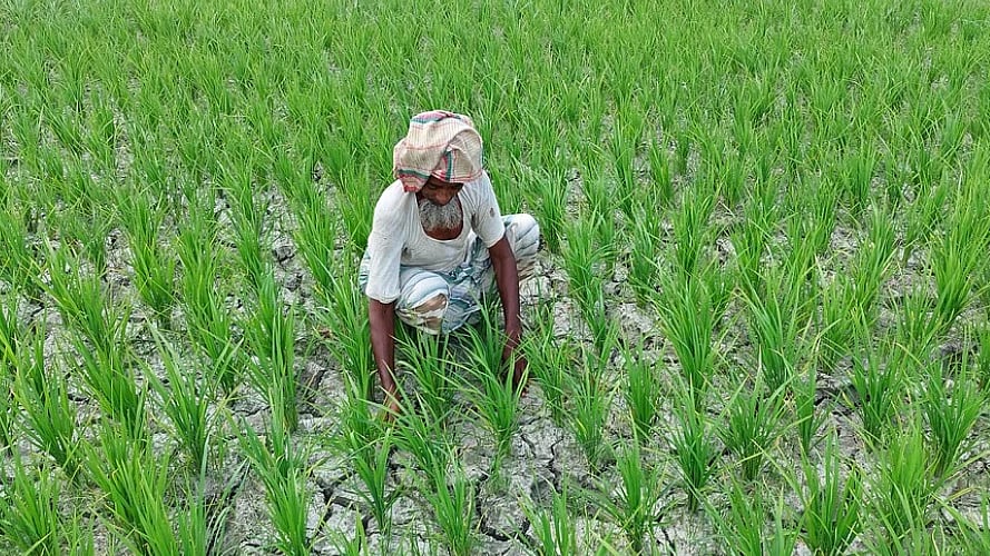 ফাইল ছবি