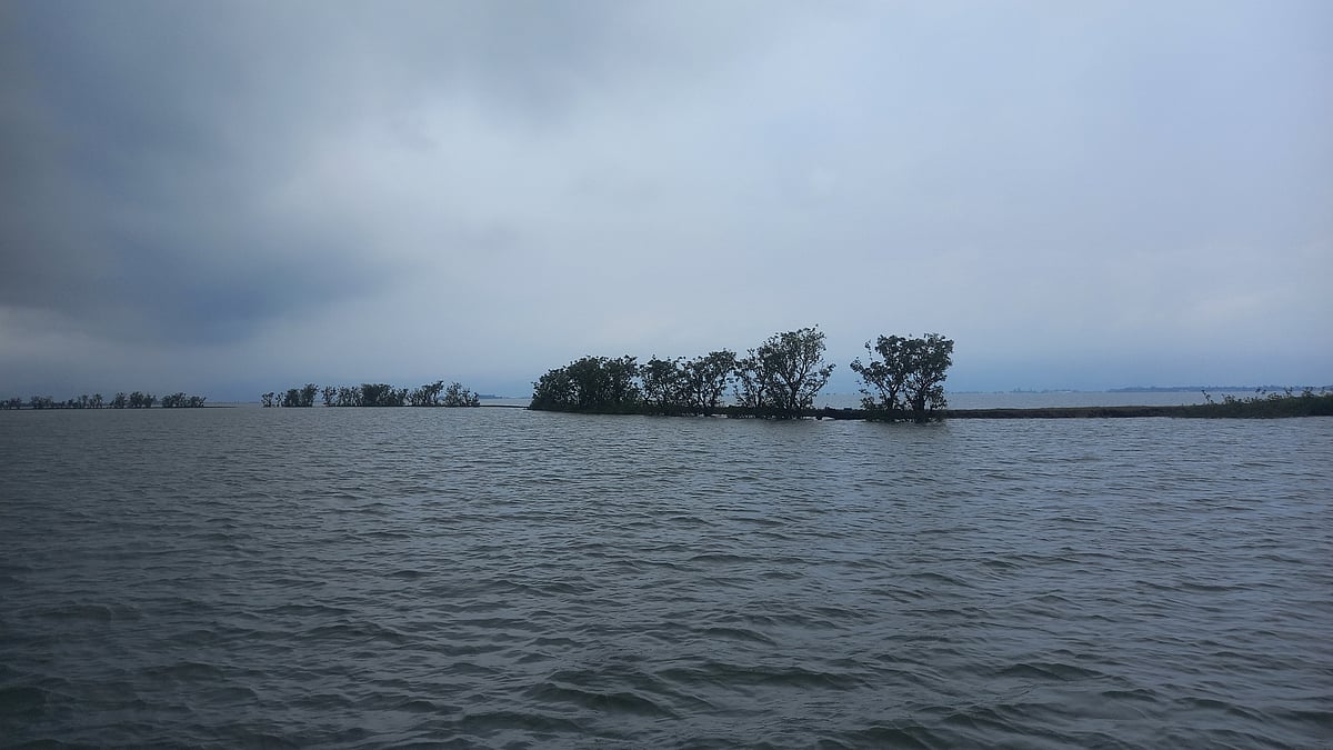 ছবি: প্রথম আলো