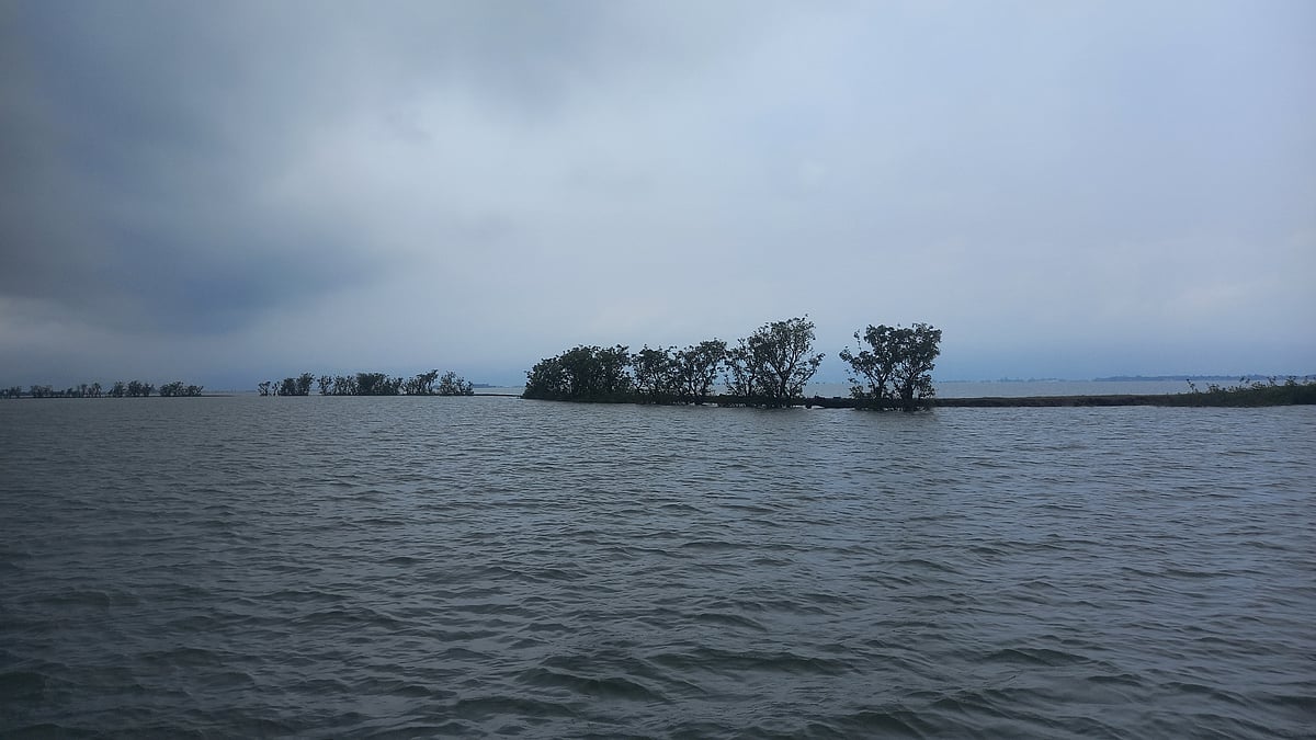 ছবি: প্রথম আলো