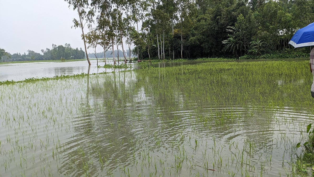 ছবি: প্রথম আলো