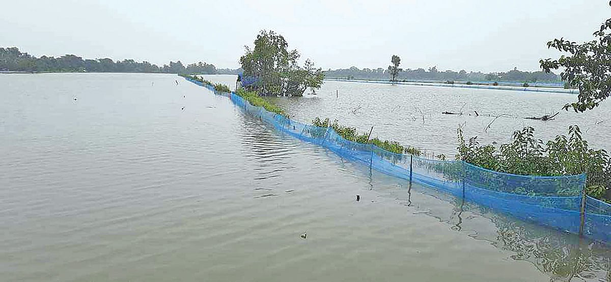 ছবি: প্রথম আলো 