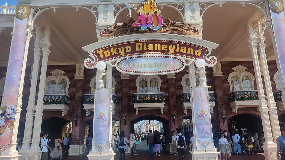 ছবি: লেখক