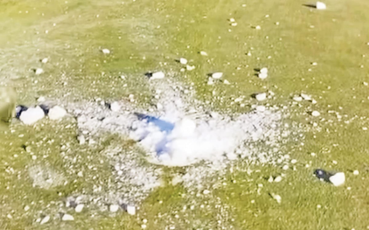 ছবি: ভিডিও থেকে