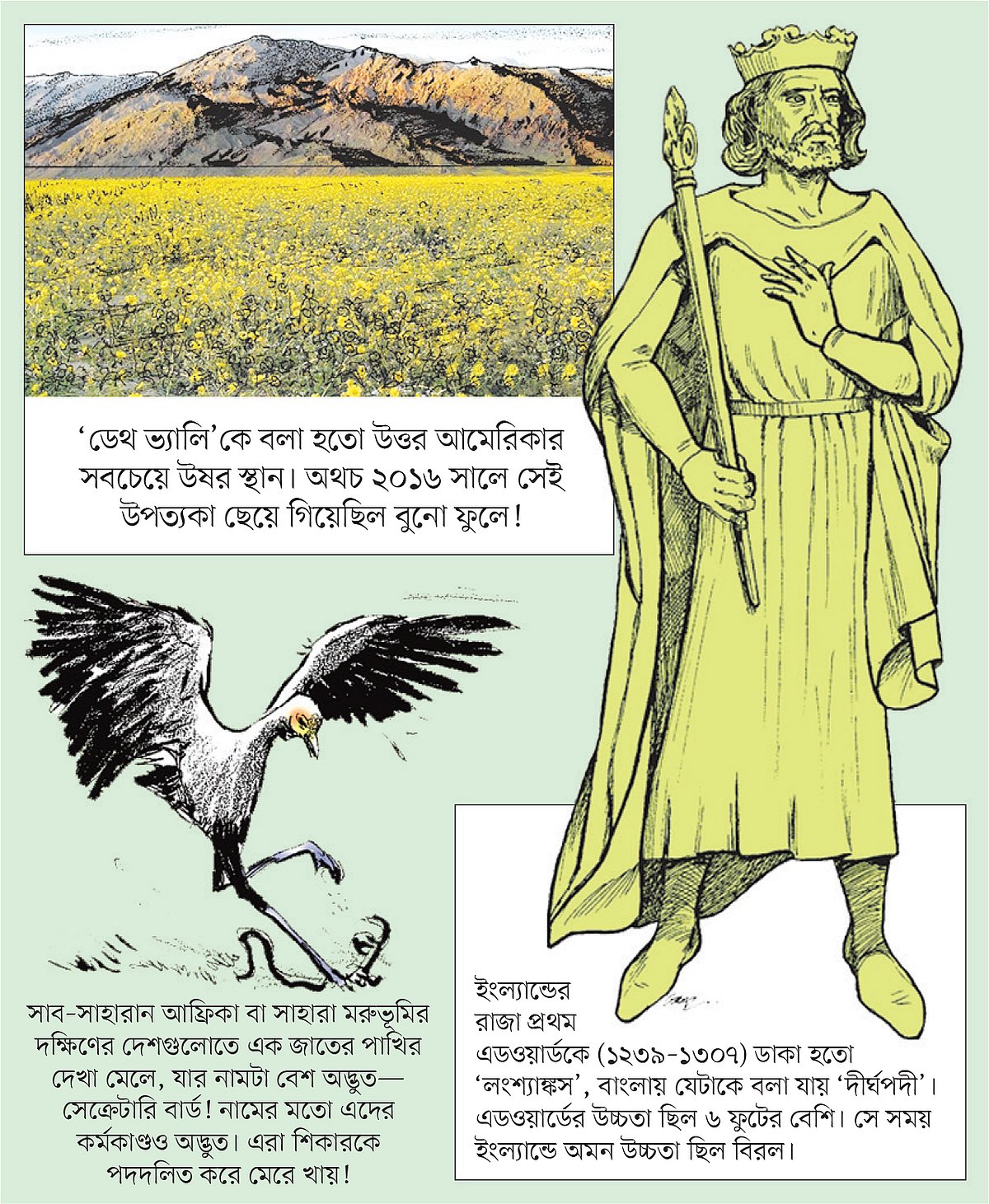 সাব–সাহারান আফ্রিকা বা সাহারা মরুভূমির দক্ষিণের দেশগুলোতে এক জাতের পাখির দেখা মেলে, যার নামটা বেশ অদ্ভুত—সেক্রেটারি বার্ড! নামের মতো এদের কর্মকাণ্ডও অদ্ভুত। এরা শিকারকে পদদলিত করে মেরে খায়!