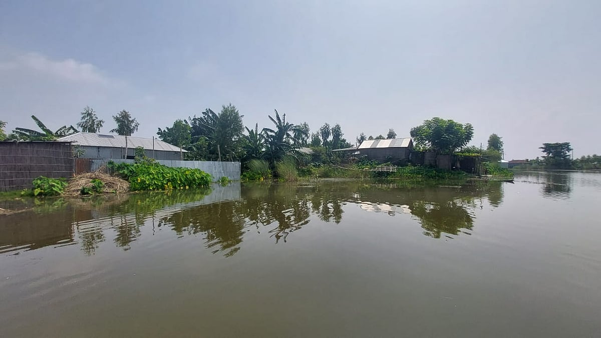 ছবি: প্রথম আলো