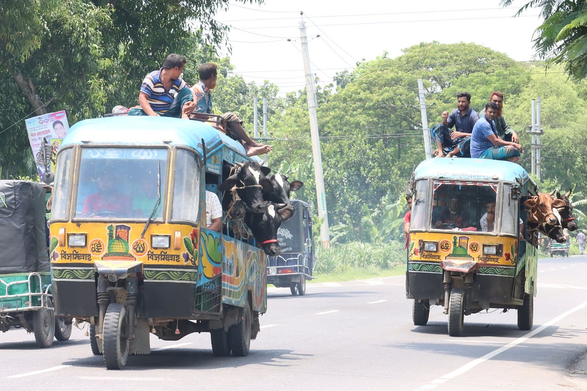 ছবি: আলীমুজ্জামান