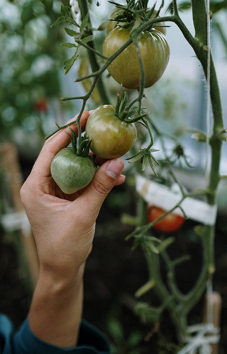 যে ৫টি শখের কাজ বাঁচাবে পৃথিবী 