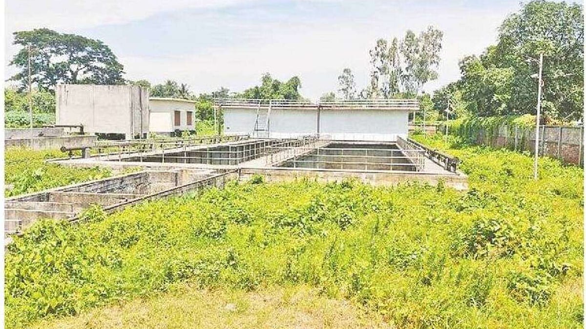  ছবি: প্রথম আলো
