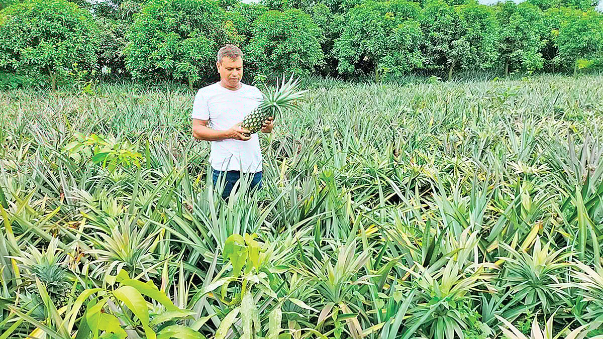 ছবি: প্রথম আলো
