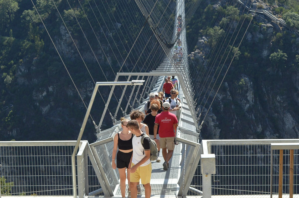 ছবি: লেখক