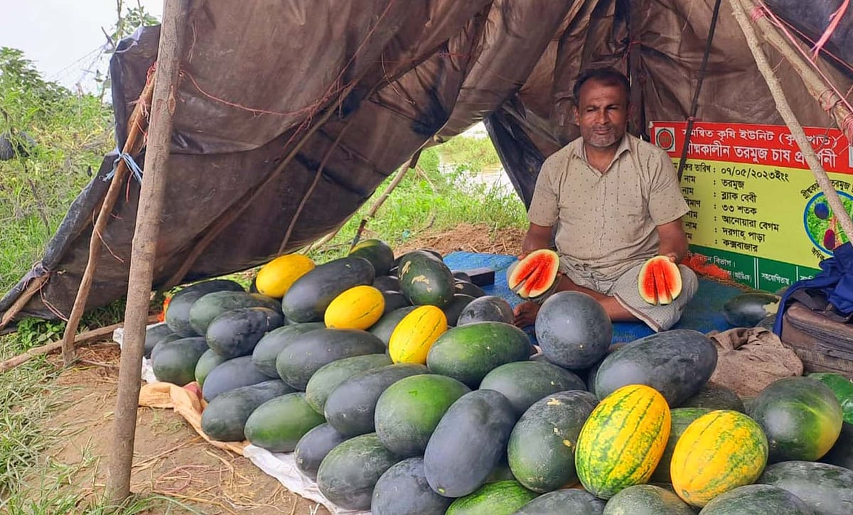 ছবি: প্রথম আলো