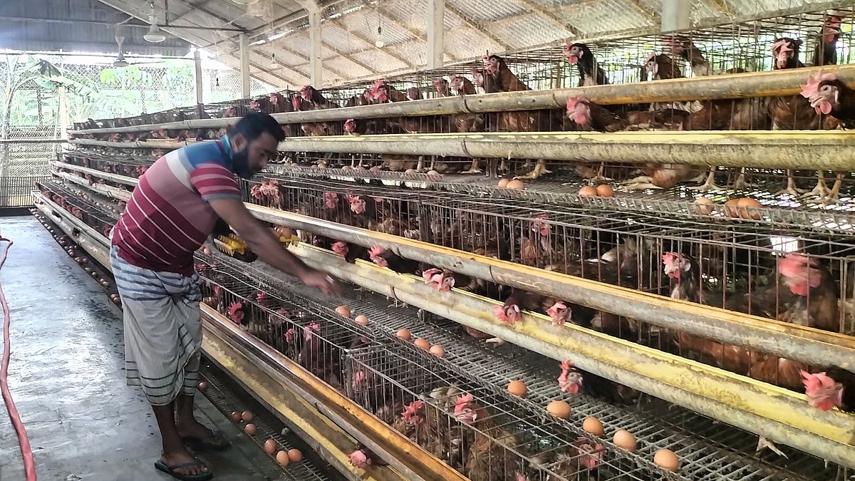 ছবি: প্রথম আলো