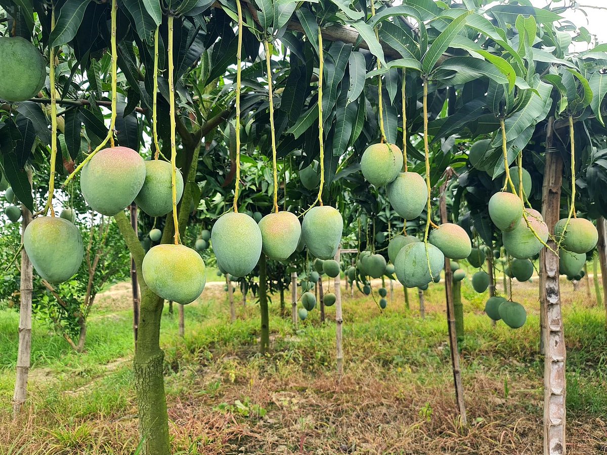 ছবি: রফিকুল ইসলামের সৌজন্যে