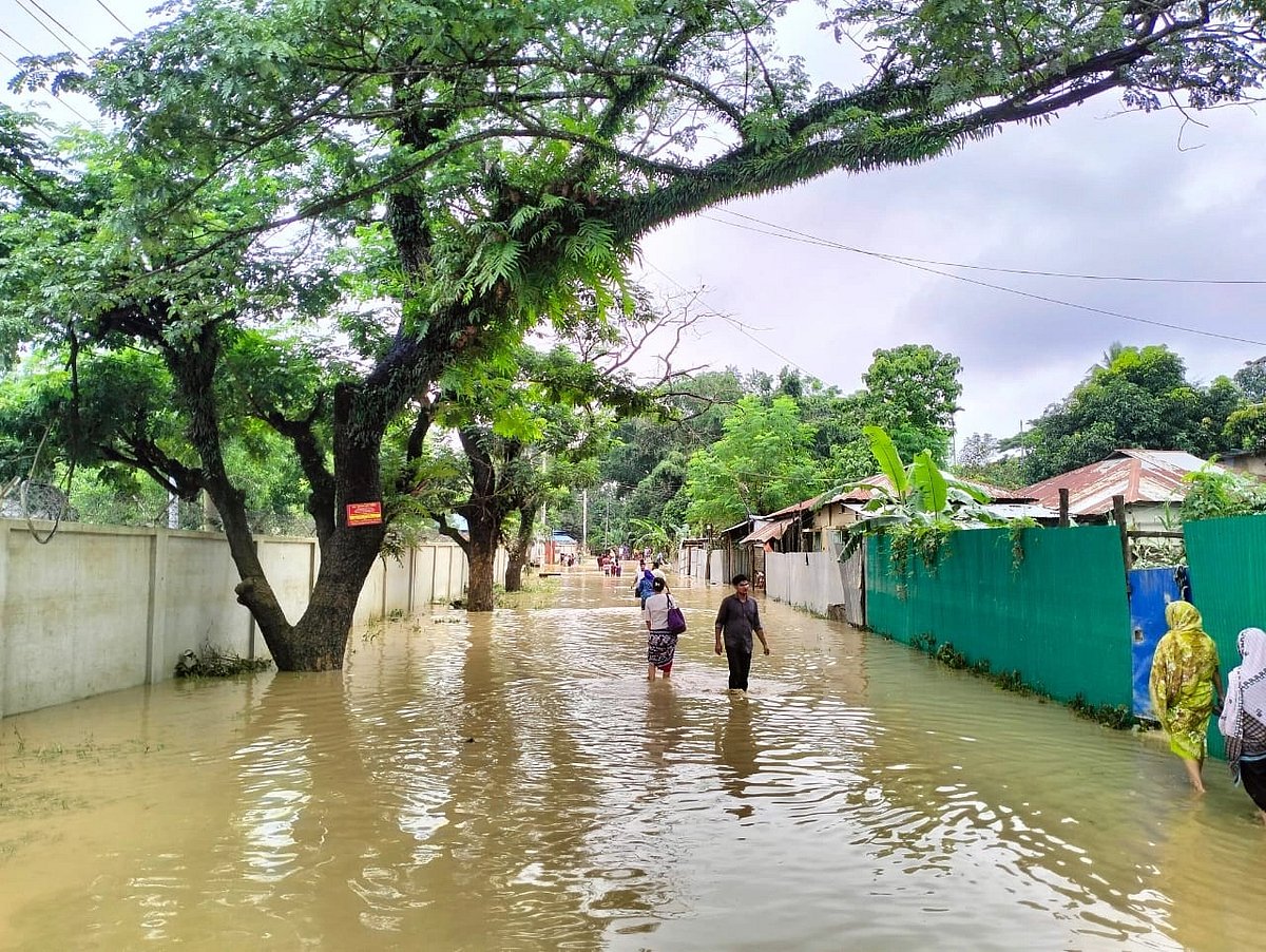 ফাইল ছবি 