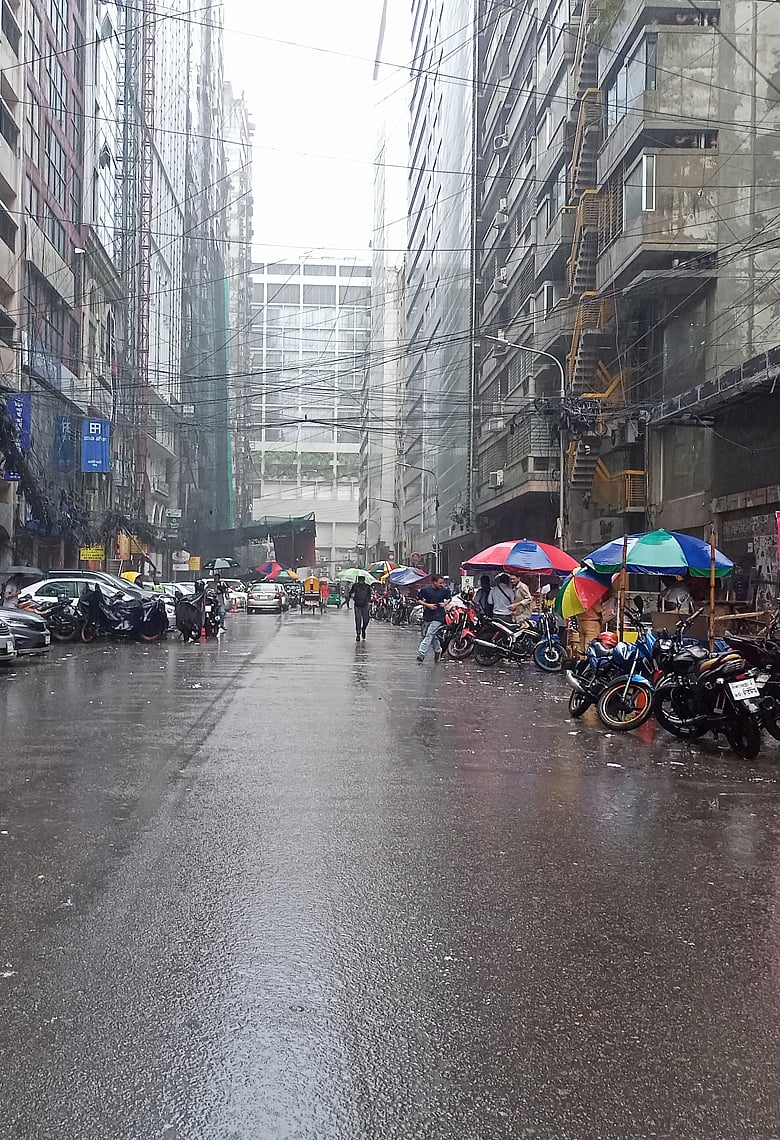 বৃষ্টি ভেজা বিকেলে ২০-৫০ টাকায় বনানীর জিবে জল আনা সব স্ট্রিটফুড 