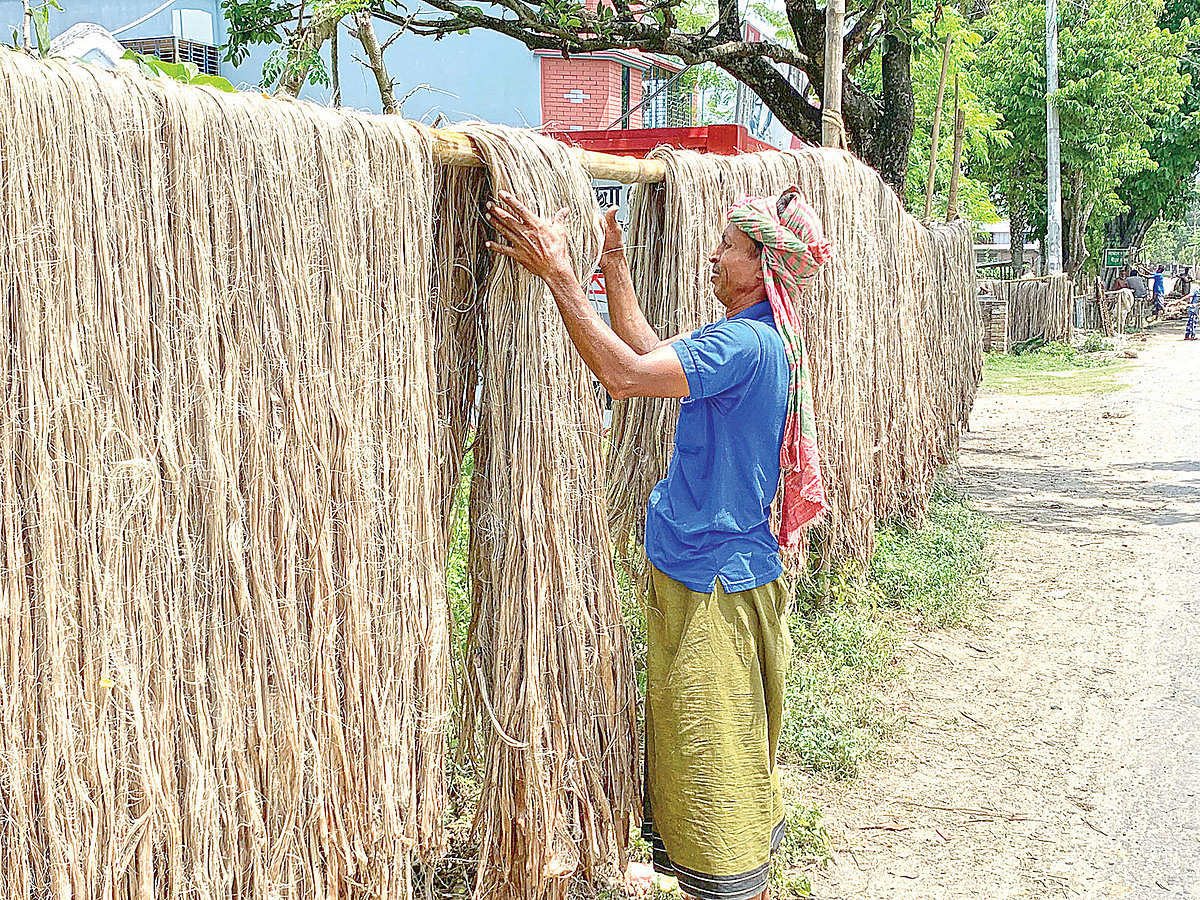 ছবি: প্রথম আলো