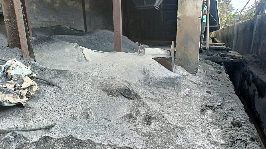 ছবি: প্রথম আলো
