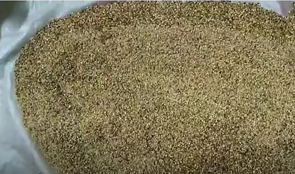 ছাতুতে ওজন কমে এবং হজমক্ষমতারও উন্নতি ঘটে