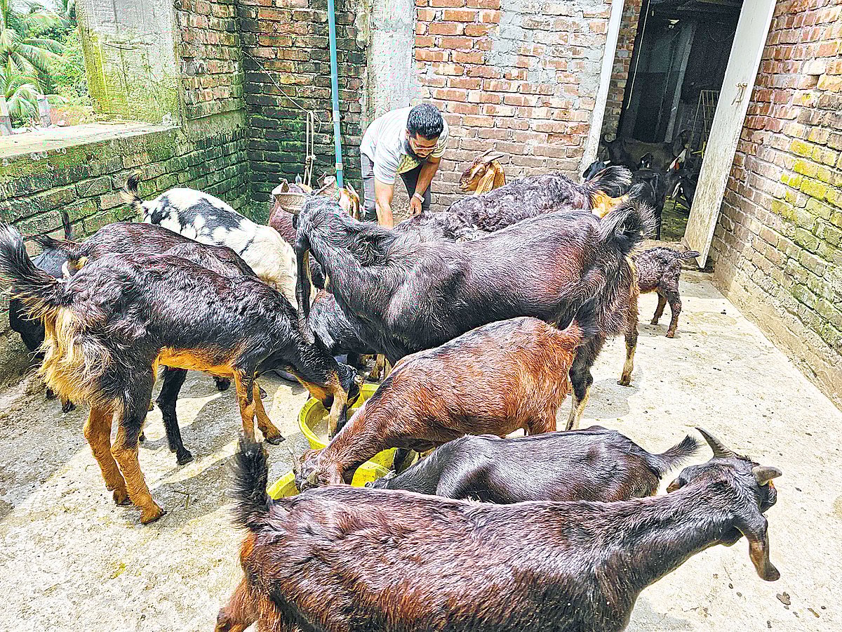 ছবি: প্রথম আলো