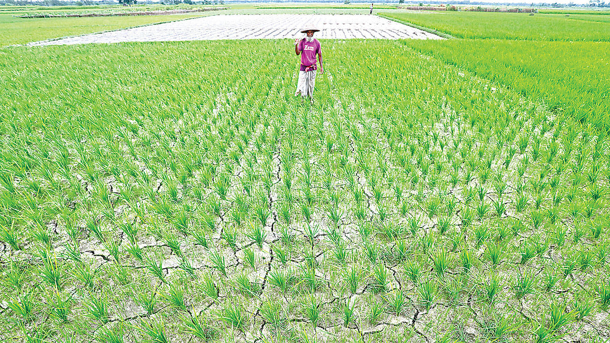 ছবি: সোয়েল রানা