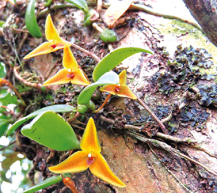 ছবি: গাজী মোশারফ হোসেন