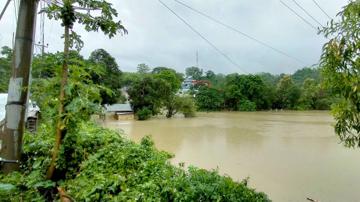 ছবি: লেখক