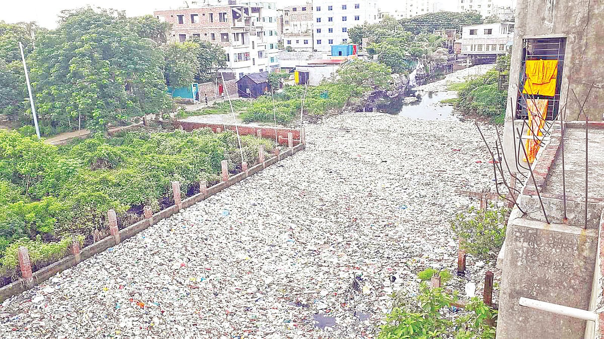 ছবি: দিনার মাহমুদ