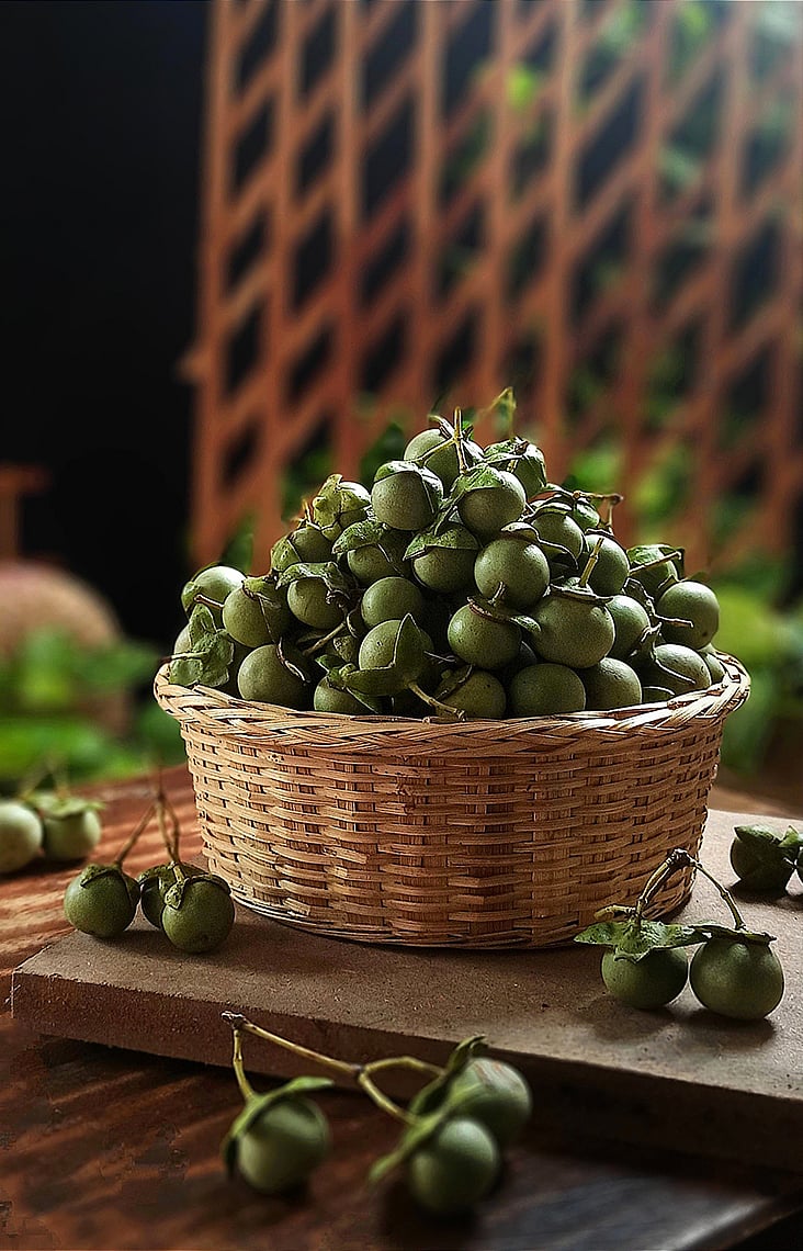 আমলকীর চেয়ে পুষ্টিকর খুলনা অঞ্চলের এই স্বল্পপরিচিত ও ঐতিহ্যবাহী ফল