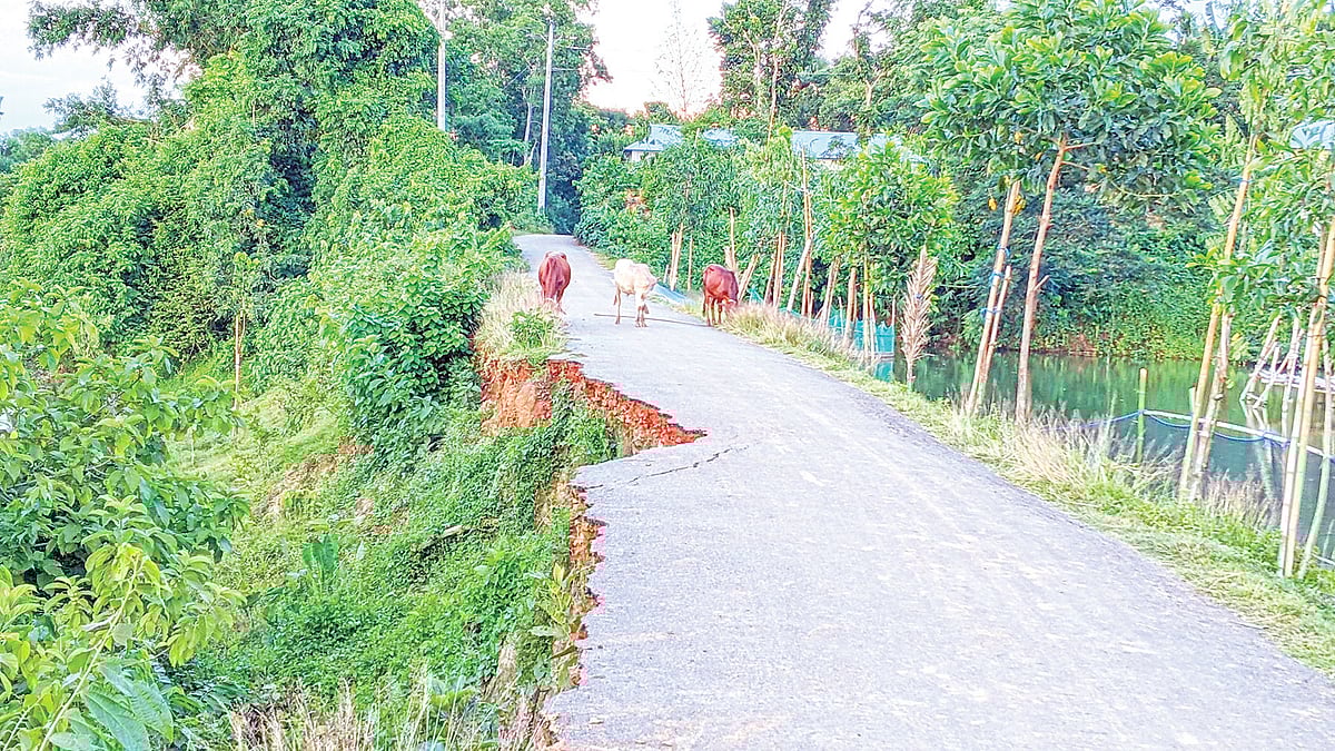 ছবি: প্রথম আলো