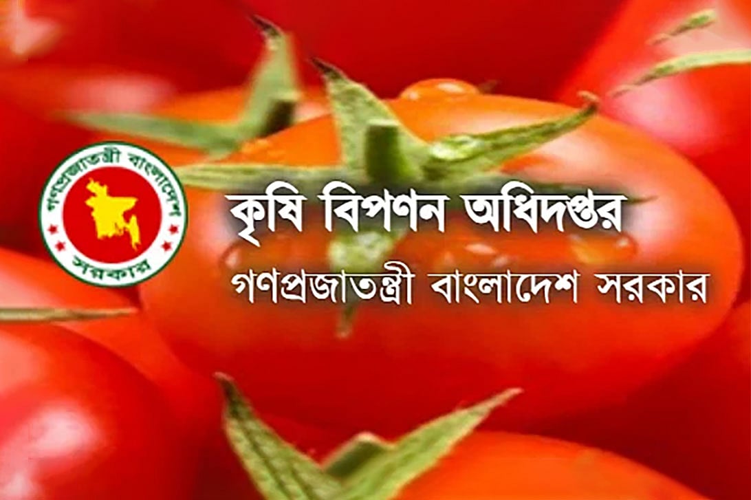 কৃষি বিপণন অধিদপ্তর কৃষিপণ্যের চাহিদা ও জোগান, মজুত ও মূল্য পরিস্থিতি বিশ্লেষণ করে কৃষিপণ্যের মূল্য ধারার আগাম প্রক্ষেপণ এবং এ বিষয়ে তথ্য ব্যবস্থাপনা করে।