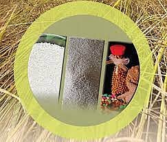 সুগন্ধী চাল রপ্তানির অনুমোদন দেওয়া হয়েছে