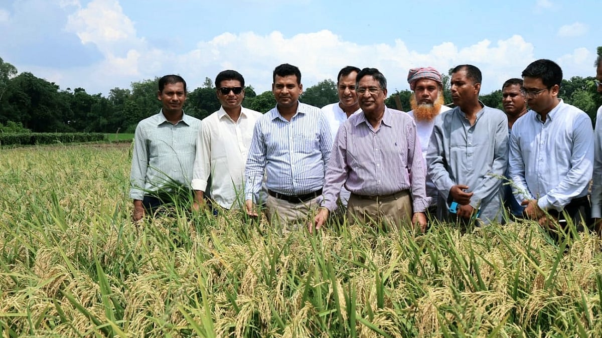 ছবি: প্রথম আলো