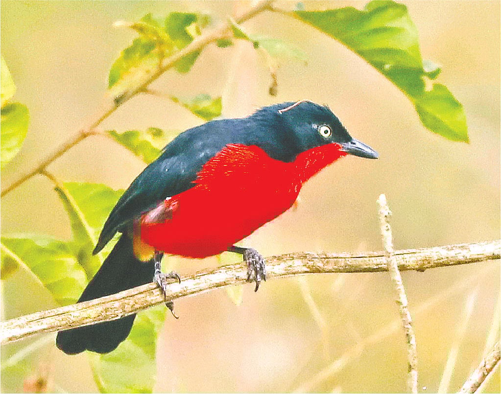 ছবি: লেখক