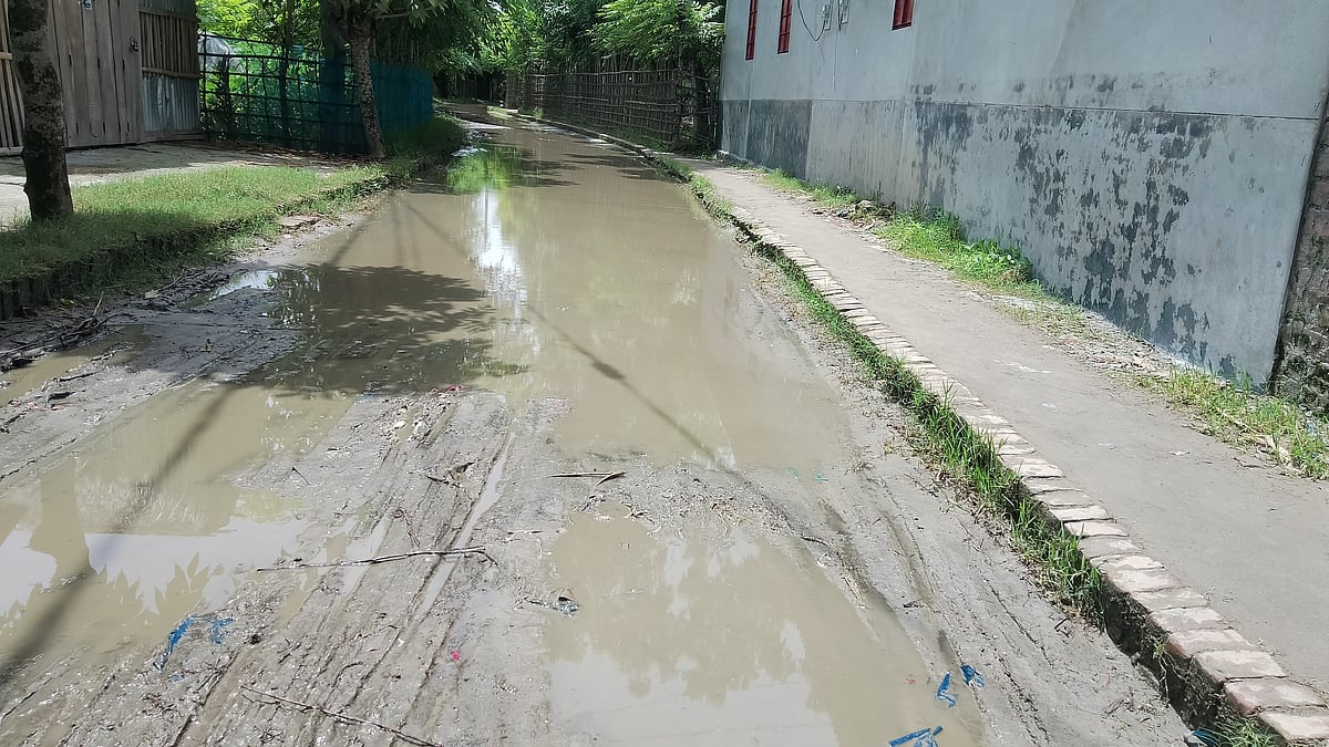  ছবি: প্রথম আলো
