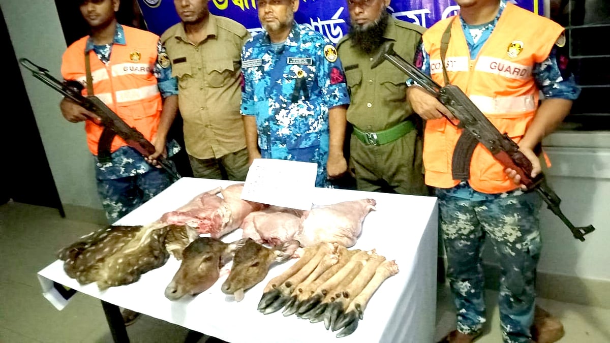 ছবি: প্রথম আলো