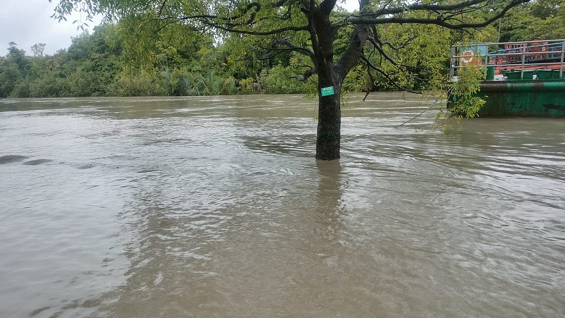 ছবি: প্রথম আলো