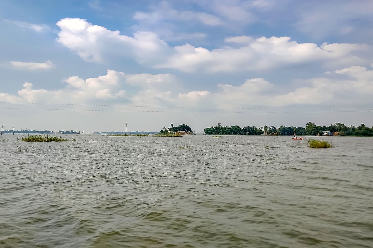 শরতে চলনবিল অনেকটাই শান্ত রূপ ধারণ করে। 