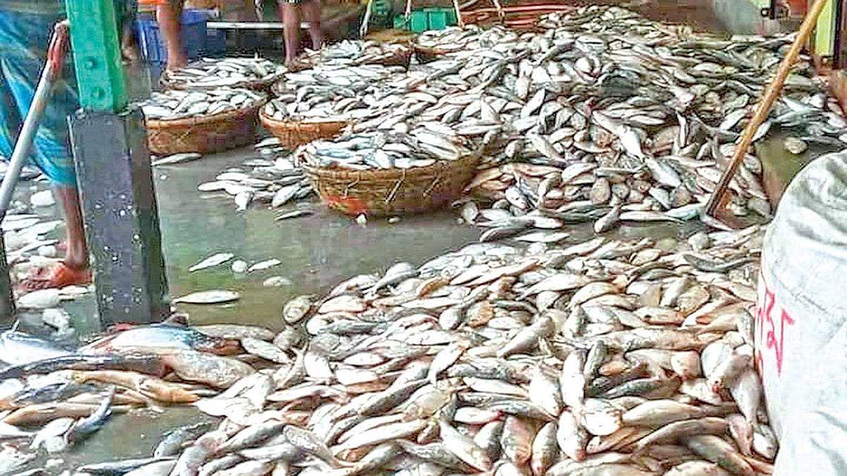 প্রথম আলো