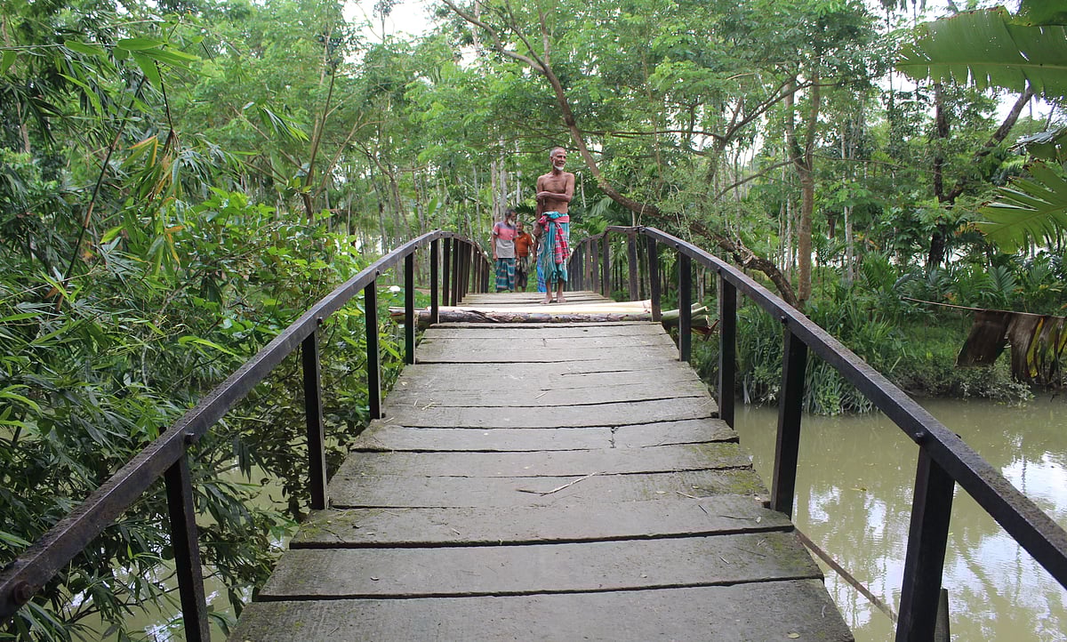 ছবি: এ কে এম ফয়সাল