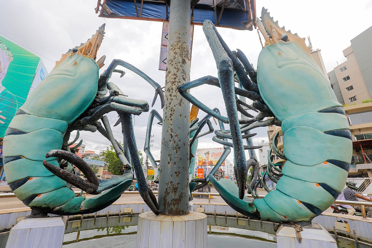 ছবি: সাদ্দাম হোসেন