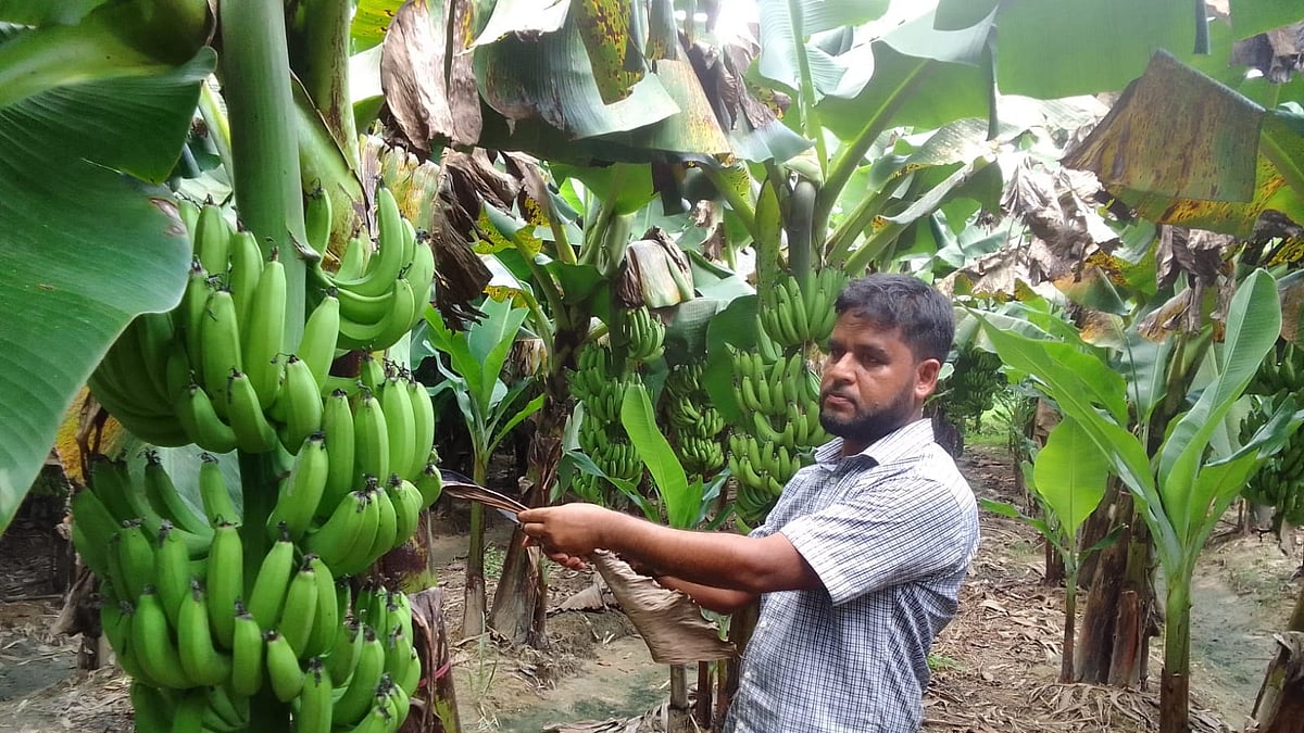 ছবি: প্রথম আলো