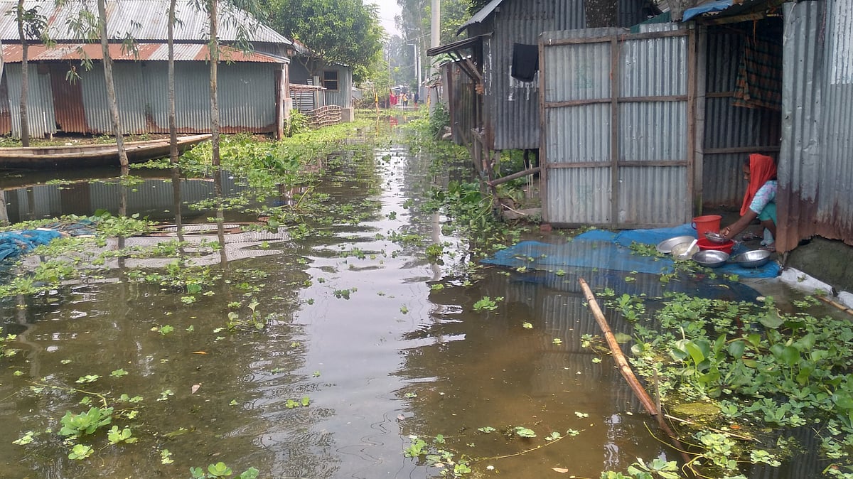 ছবি: প্রথম আলো