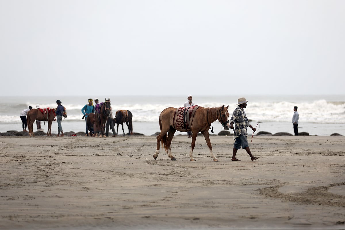 পর্যটকের আশায় ঘোড়া নিয়ে সৈকতে ঘুরছেন তাঁরা
